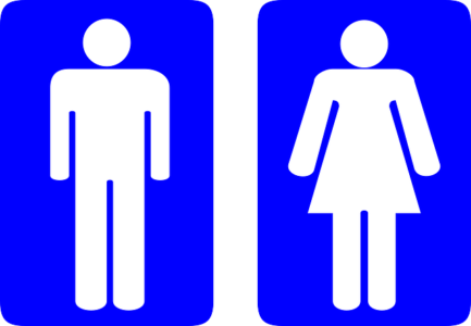 transgender LGBTQ+ Title VII Alabama Employment Law