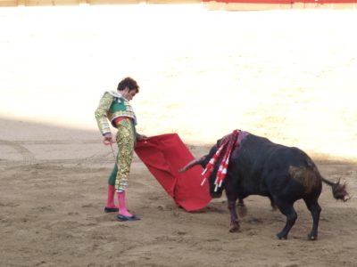 Title VII or Bull Fight?